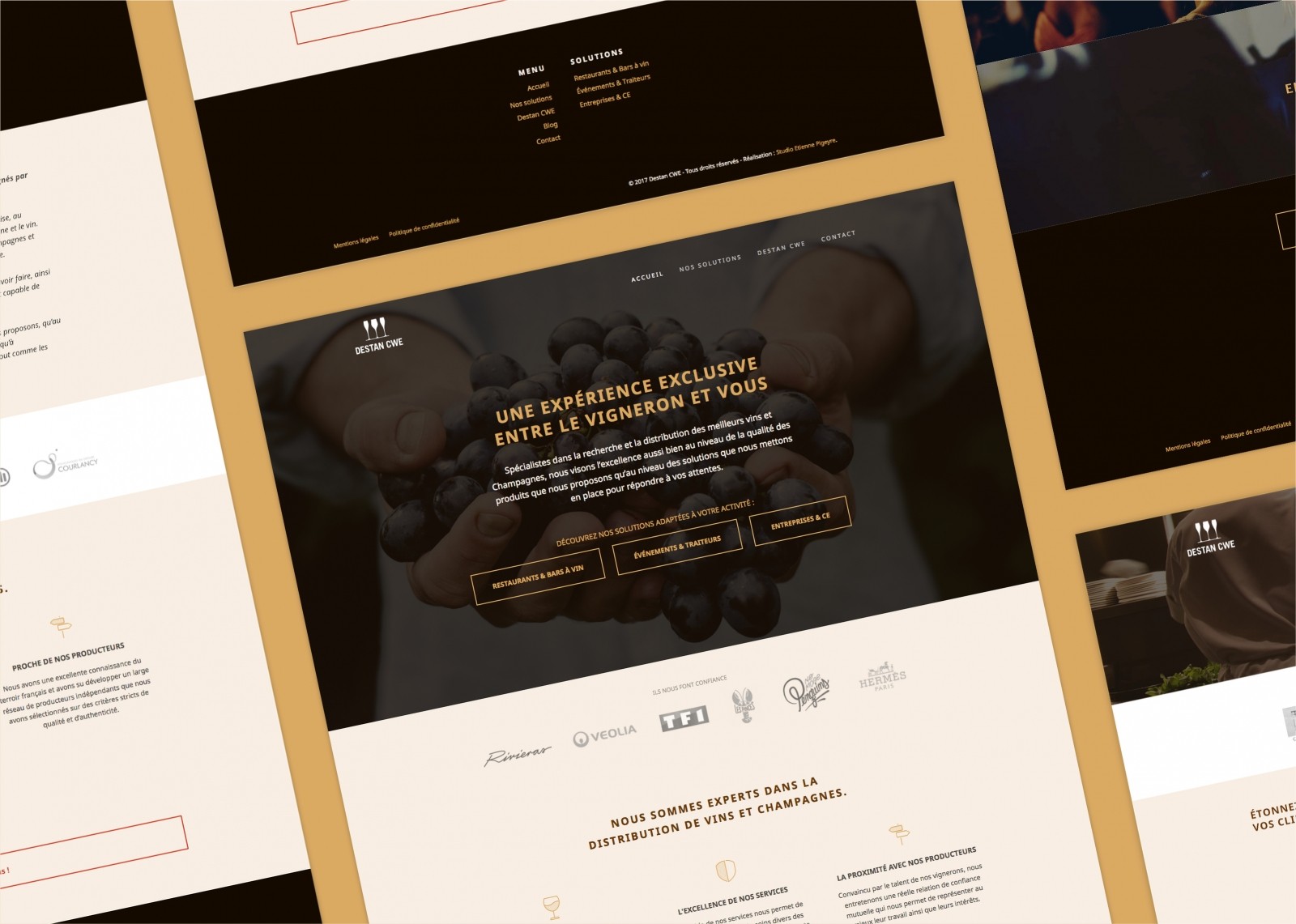 Quelques pages du site WordPress de Destan réalisé par le Studio DPE