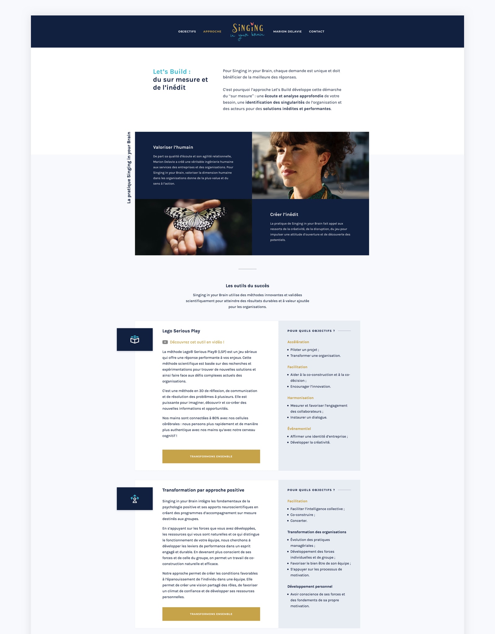 Page approche sur la refonte du site WordPress de Singing in your Brain