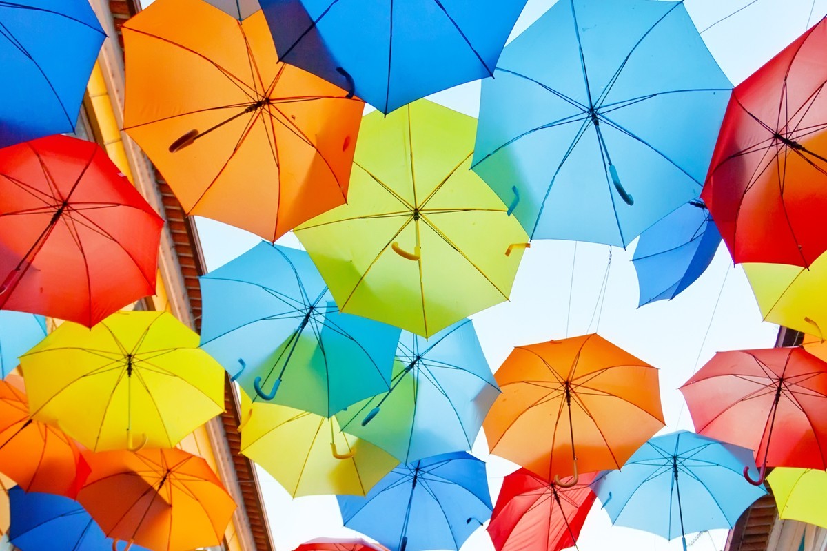 Photo du projet de refonte de site web Wordpress pour Singing in your Brain