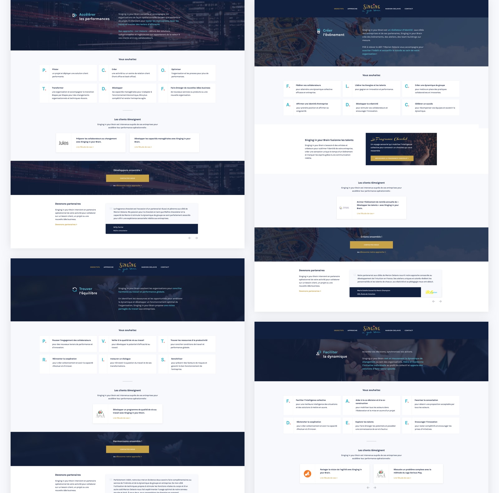 Pages objectif sur la refonte du site WordPress de Singing in your Brain