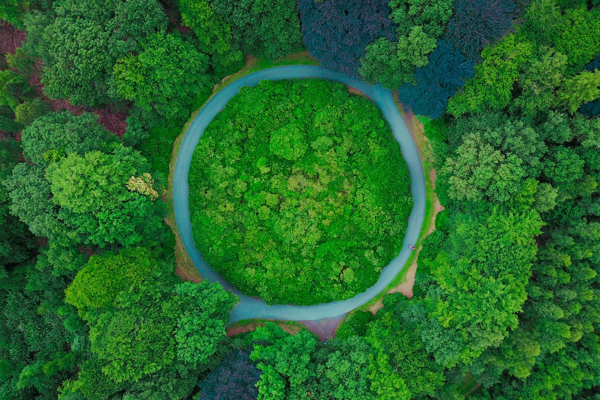 Photo du projet de création d'un site internet pour Gestion Durable